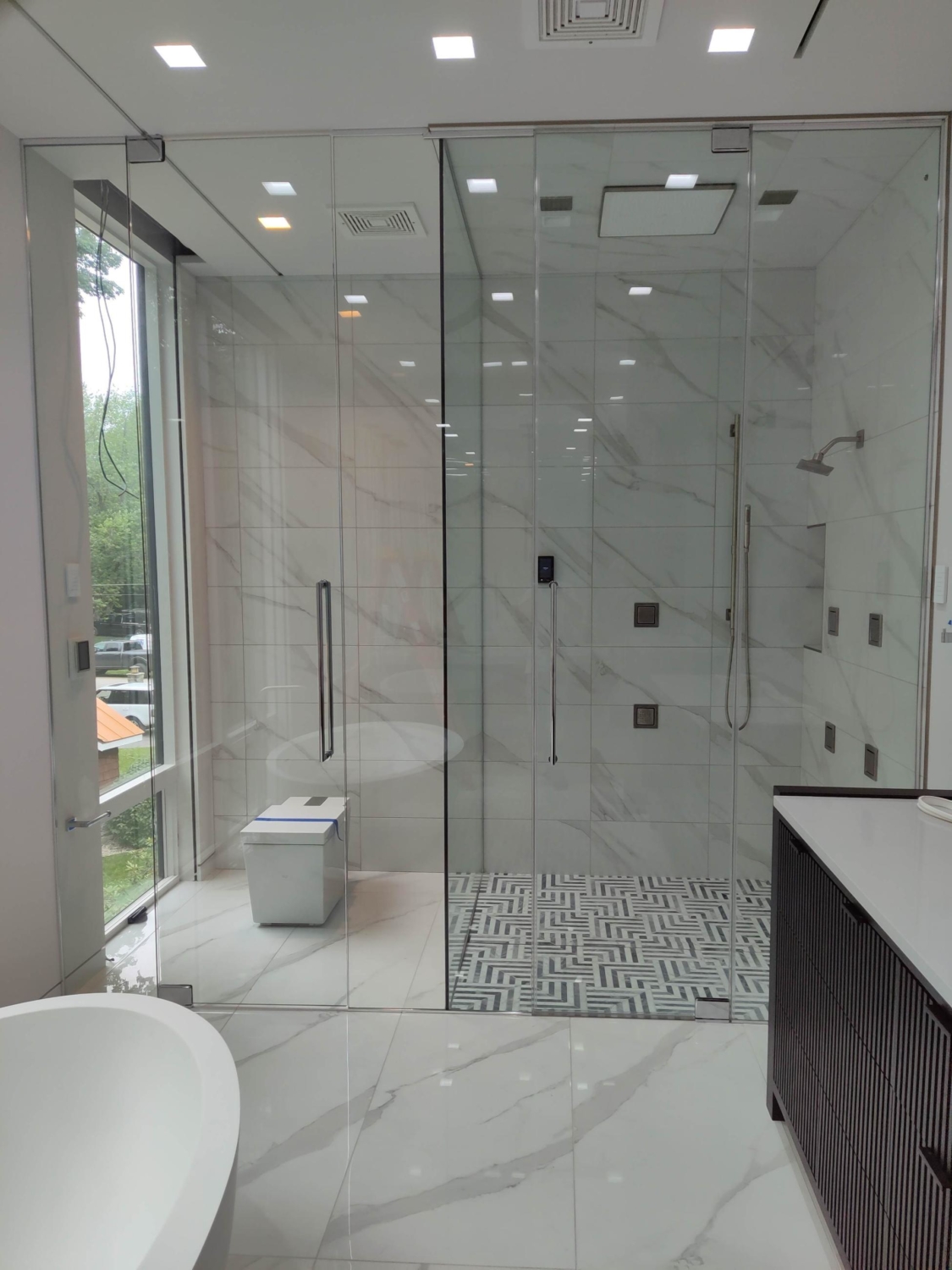 Custom Euro shower door