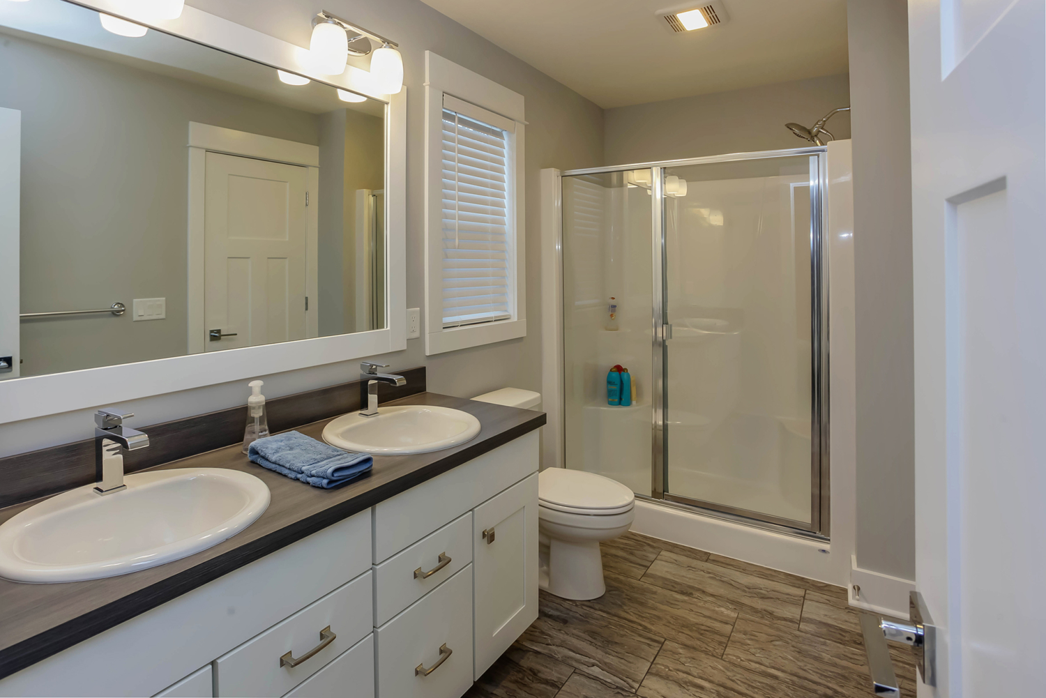 Studio G | Closets & Glass Custom Euro shower door