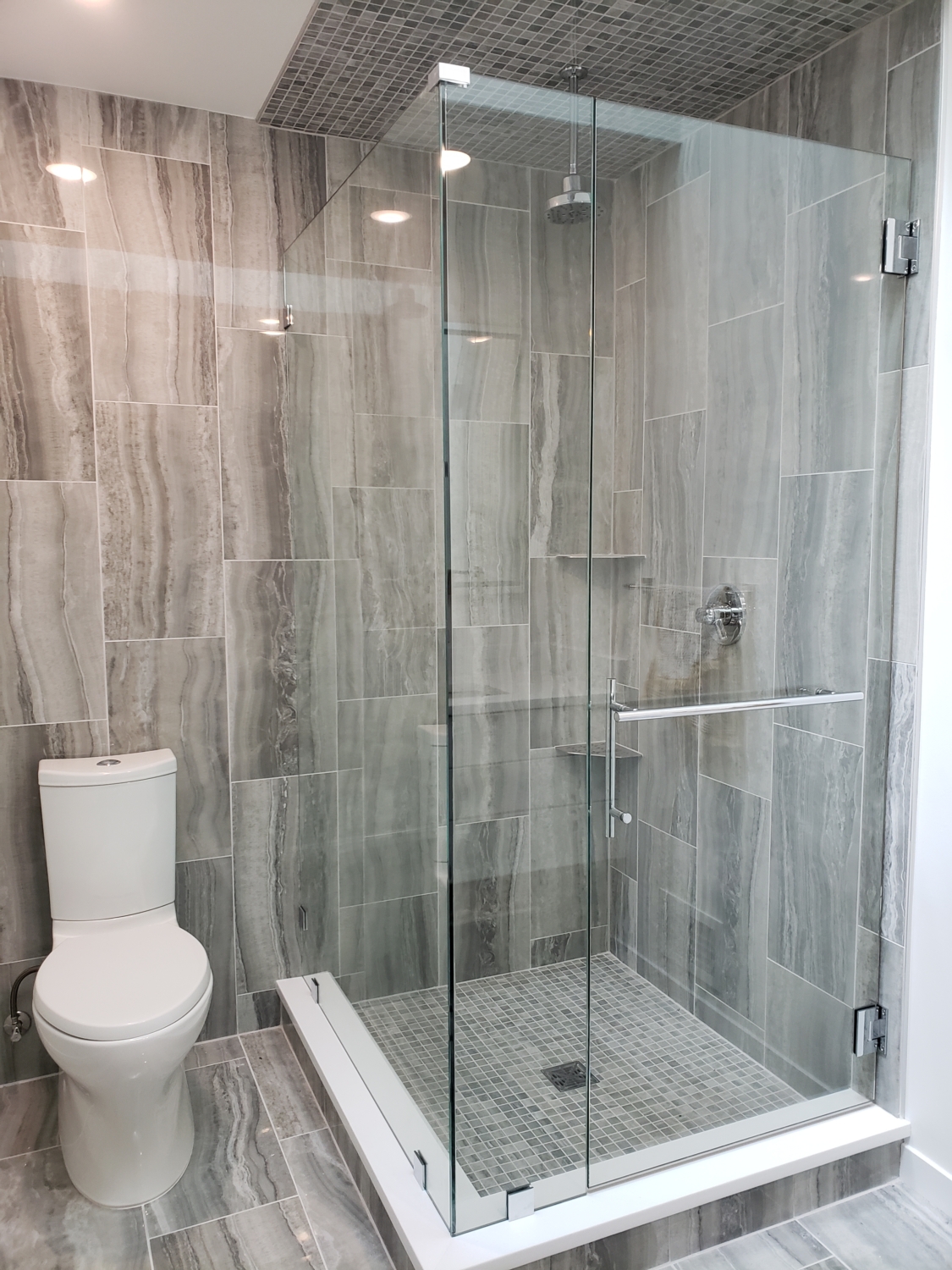 Custom Euro shower door