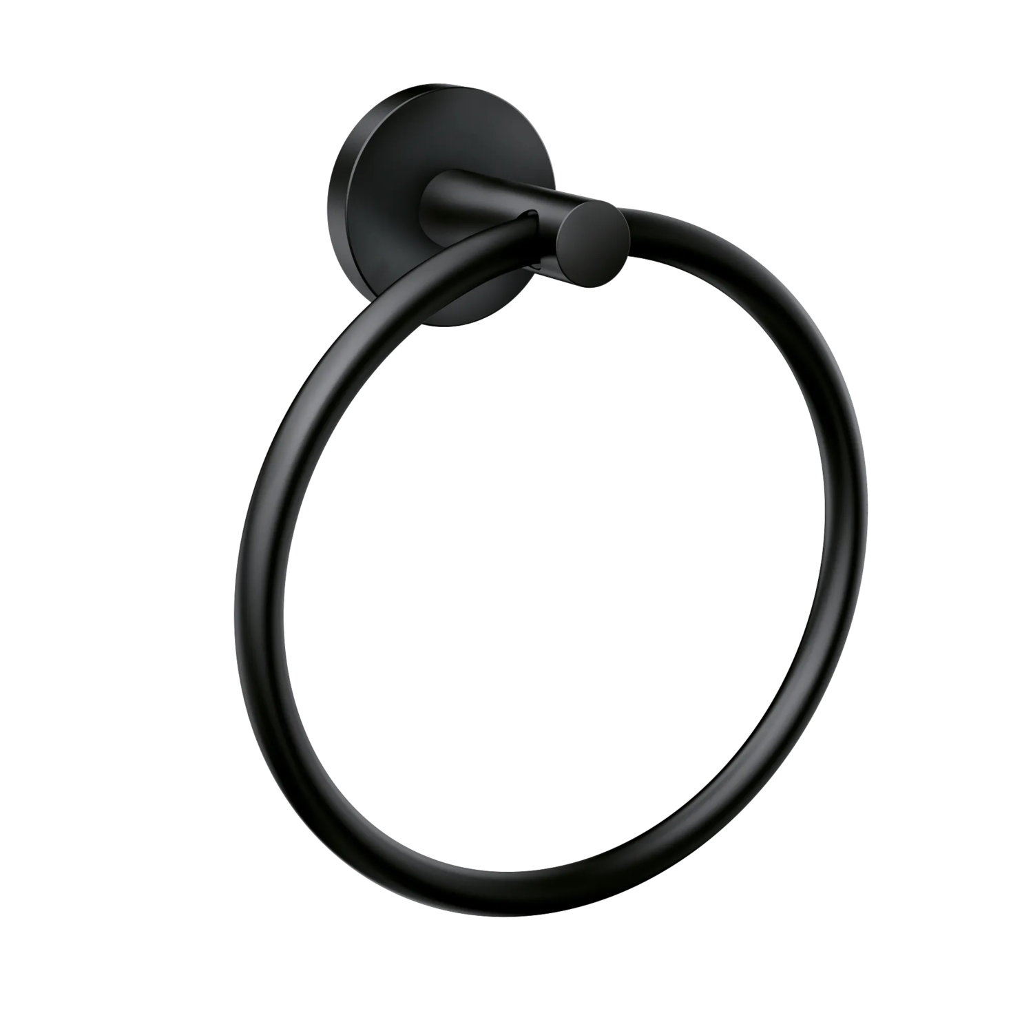Moen Towel ring