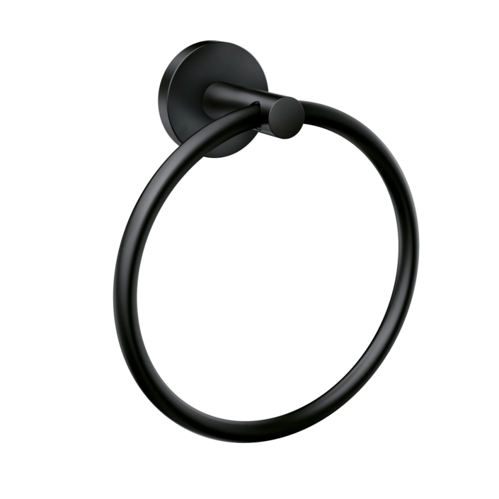 Moen Towel ring